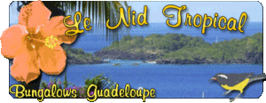 logo_nidtropical