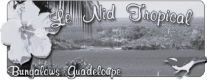 logo_nidtropical NB